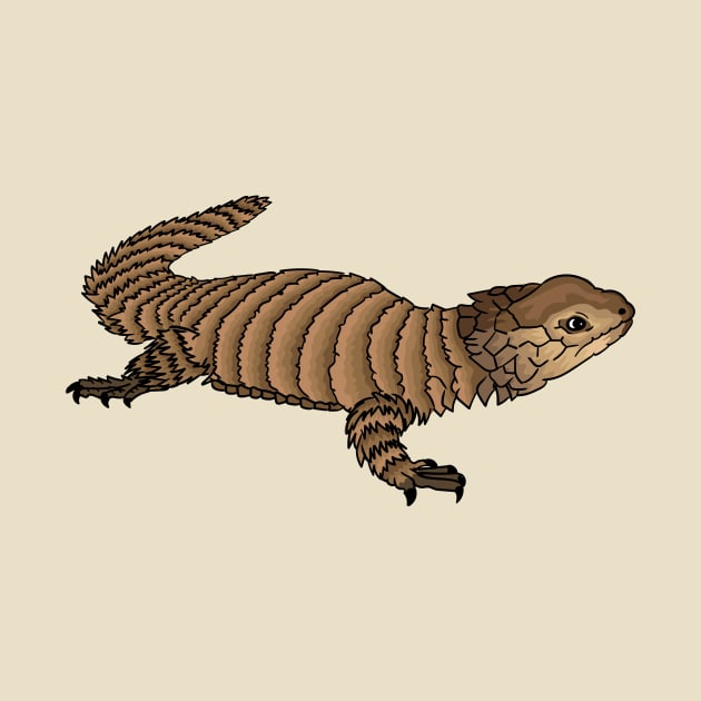 Armadillo girdled lizard cartoon illustration by Cartoons of fun