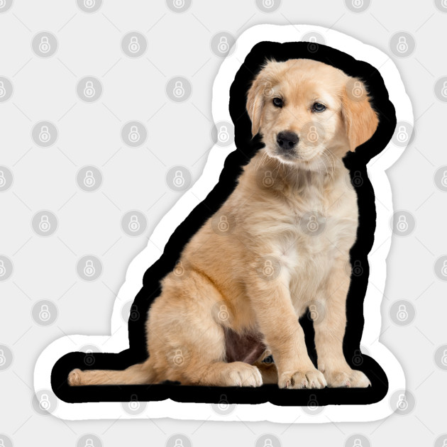 Golden Retriever Puppy Gift For Golden Retriever Owner Dog Lover