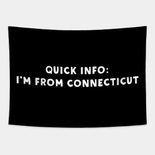 Connecticut Cool & Funny Tapestry