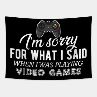 Gamer - I'm sorry for what I said when I was playing video games Tapestry