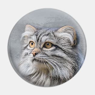 Pallas Cat Portrait Pin