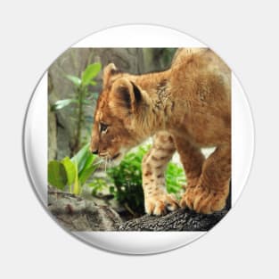 Lion Cub Pin