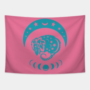 Teal and Pink Possum Tapestry