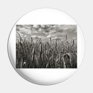 Dramatic Landscape Photography - Wheatfield in France Pin