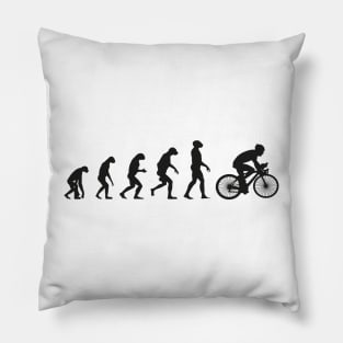 Cycling Evolution Pillow