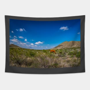 Criollo Cattle on the Open Range Tapestry