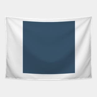 Solid Grey Blue Tapestry