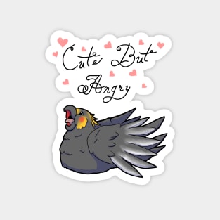 Cute But Angry (Grey and yellow tiel) Magnet