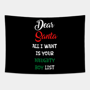 Dear Santa All I Want Is Your Naughty Boy List Tapestry