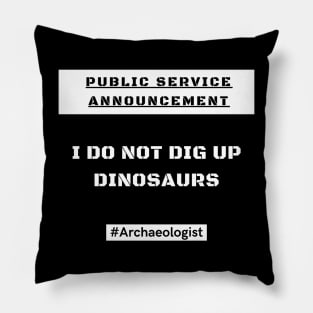 Archaeologists DO NOT dig up dinosaurs! Pillow