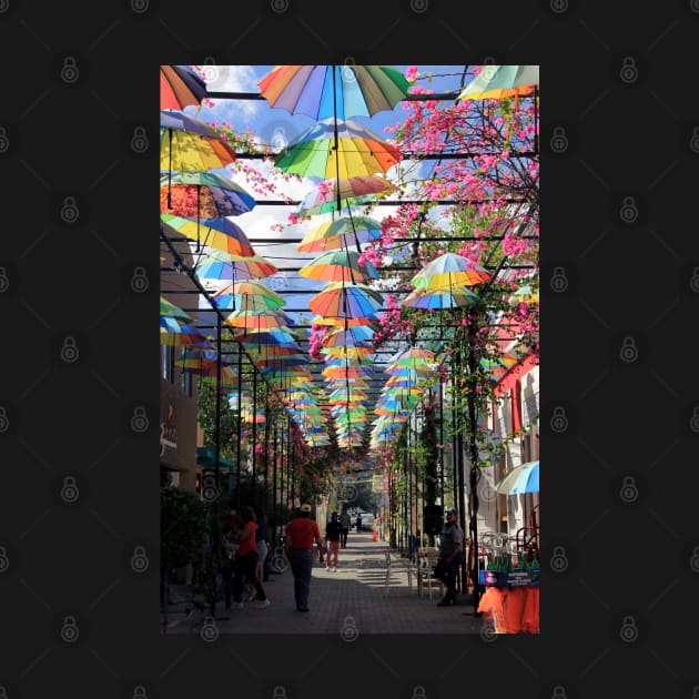 Umbrella Street, Puerto Plata, Dominican Republic by Kirkcov