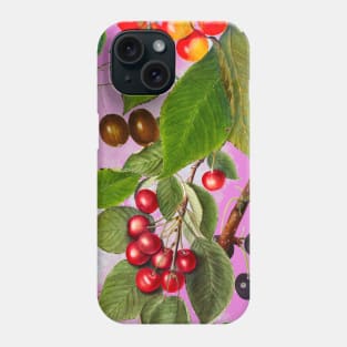 Exotic tropical floral leaves and fruits, botanical pattern, tropical plants, pink fruit pattern over a Phone Case