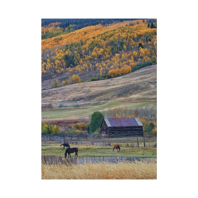 Colorado Horse Ranch by briankphoto