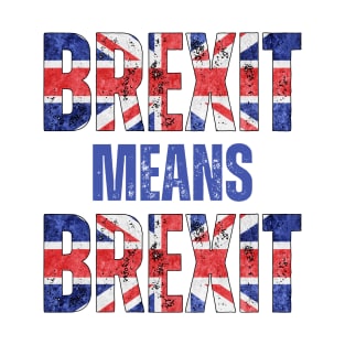 BREXIT MEANS BREXIT T-Shirt