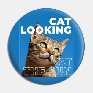 cat looking at the sun Pin