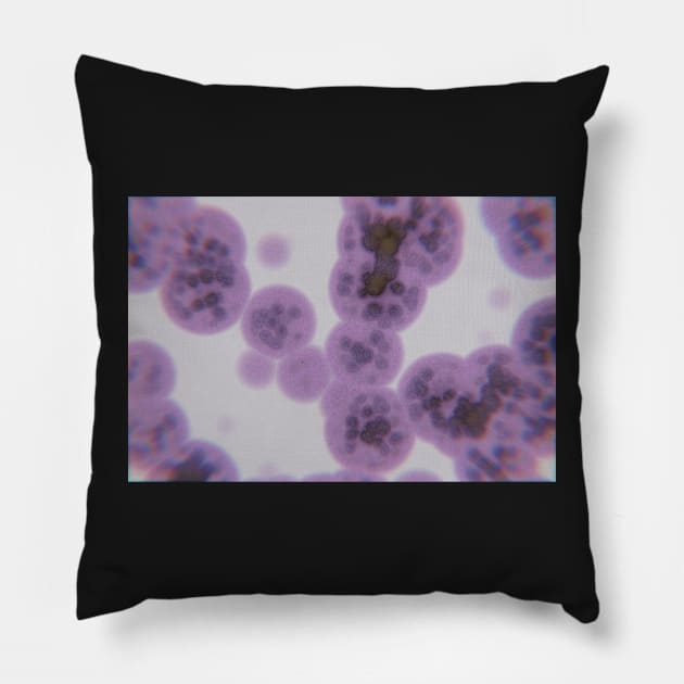 3D Render Of Cells And Biological Tissues Pillow by mooonthemoon