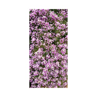 Purple alyssum T-Shirt