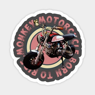 MonkeyBike Magnet