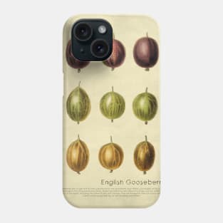 English Gooseberries With Description Phone Case