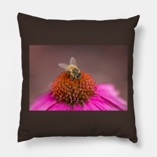 Bee on Wild Berry Coneflower Pillow