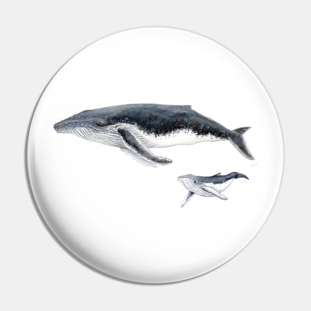 Humpback whale mother and baby whale Pin by chloeyzoard