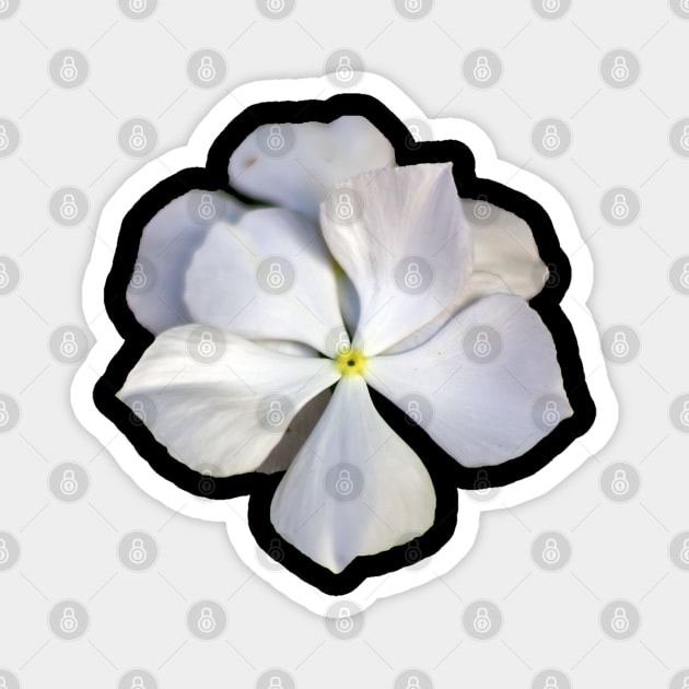 white flower Magnet by rickylabellevie