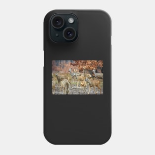 Roe deer family Phone Case