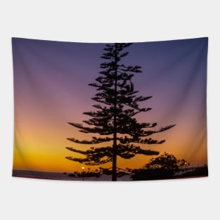 Namibia. Swakopmund. Tree. Sunset. Tapestry