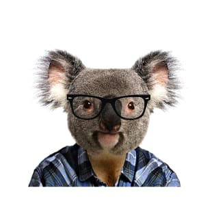 Hipster Koala T-Shirt