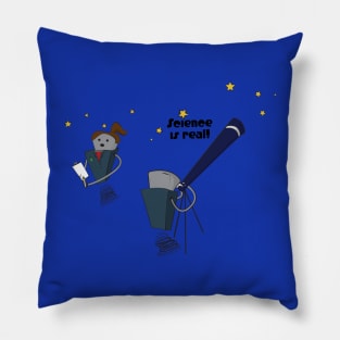 Science is Real Astronomy Robots Pillow