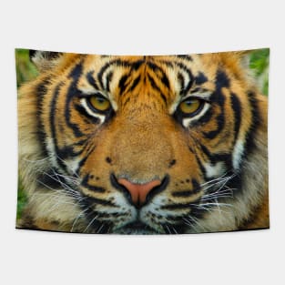 Tiger Face Mask Tapestry