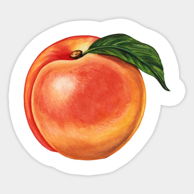 Peach Fruit Sticker Peach Fruit Sticker