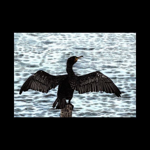 Great black cormorant by lorendowding