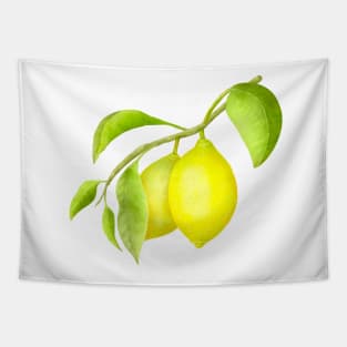 Two lemons Tapestry