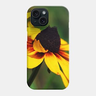 A couple of Black Eyed Susan flowers Phone Case