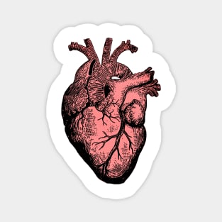 Human Heart - Graphic Design Illustration Art Magnet