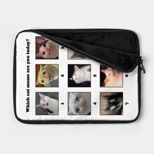 Which Cat Meme Are You Today Cat Memes Laptop Case Teepublic