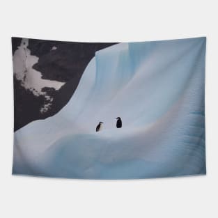 TWO PENGUINS ON AN ICEBERG Tapestry