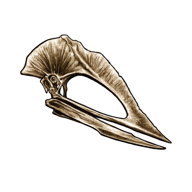 Tupuxura Pterosaur Skull by CassWArt