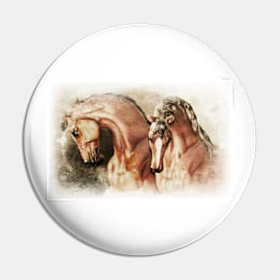 Mirrored Horses Pin