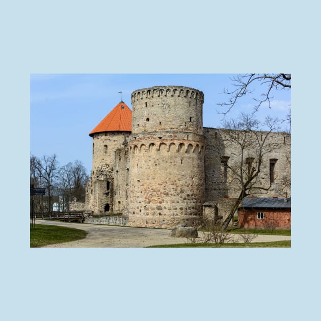 Ruins of medieval castle in Cesis, Latvia by lena-maximova