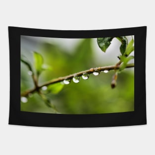 Water droplets and reflection Tapestry