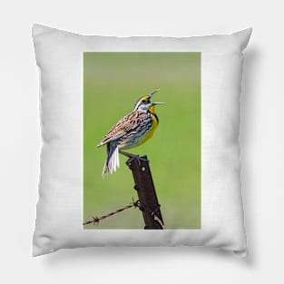 Eastern Meadowlark Pillow