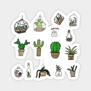 Terrarium and Cactus Magnet