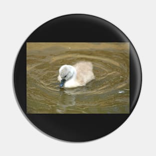 Little Swan Wondering Pin