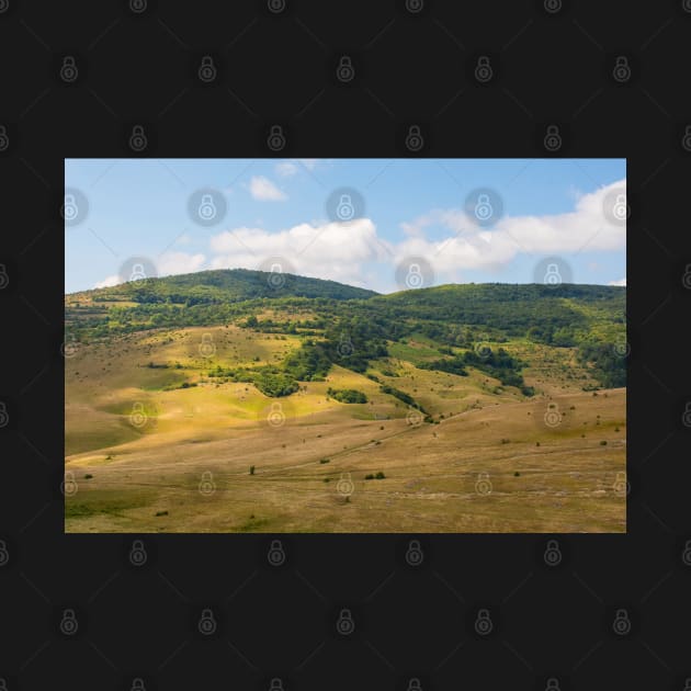 Summer Landscape Near Gornje Ratkovo, Bosnia by jojobob