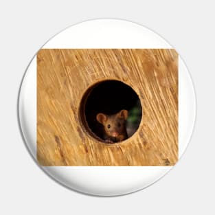 George the mouse in a log pile House mouse in hole Pin