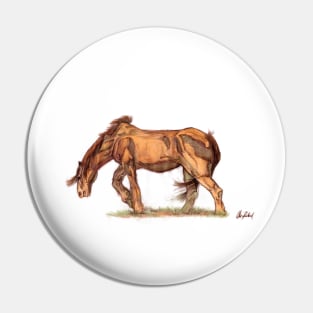 Old horse Pin