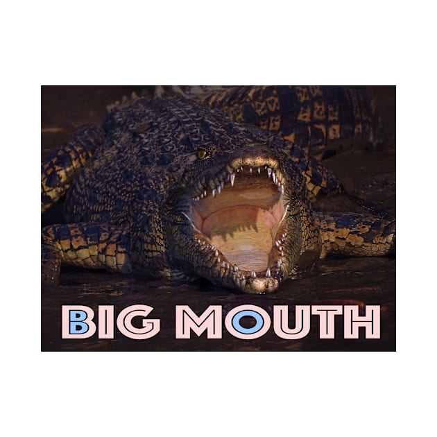 BIGMOUTH by dumbodancer