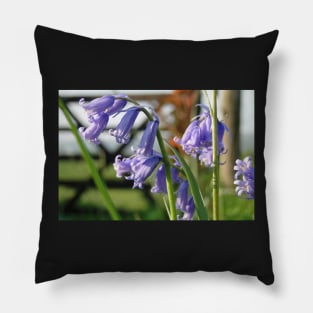 English Bluebells Pillow